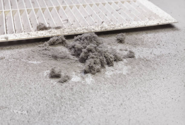 Best Affordable Air Duct Cleaning  in Holden Heights, FL