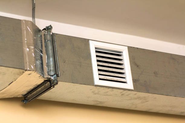 Best Air Duct Sanitizing Services  in Holden Heights, FL